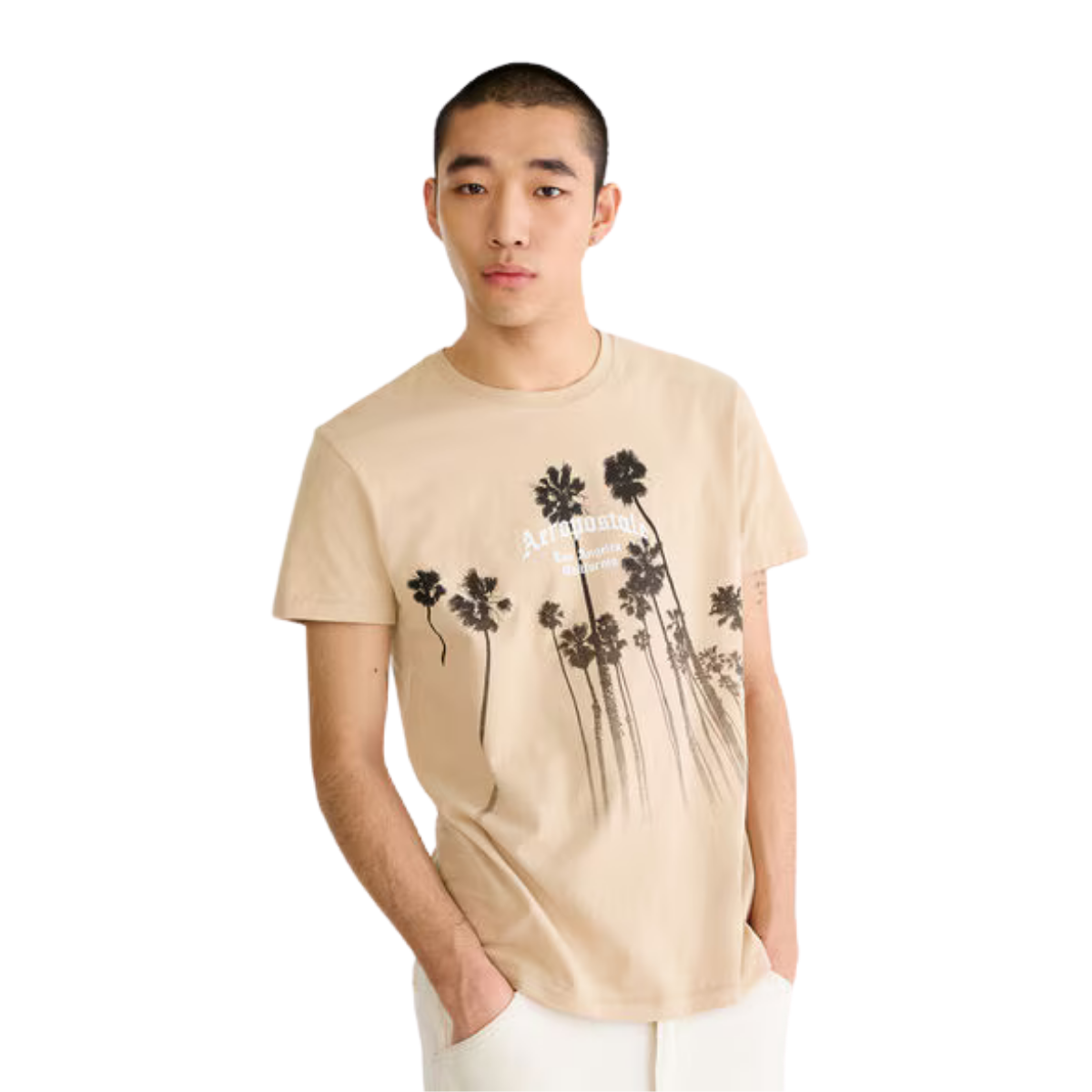 Playera Aeropostale 100% Original Estampada Hombre
